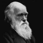 Darwin and Design