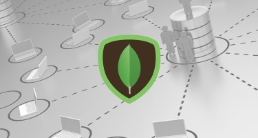MongoDB 3.2 Fundamentals For Developers-Learn By Exercises